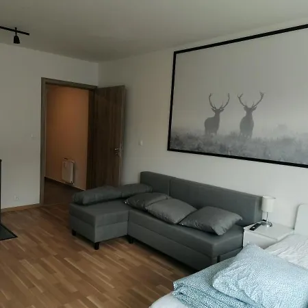 Brand New #51 With Free Secure Parking In The Center Apartment