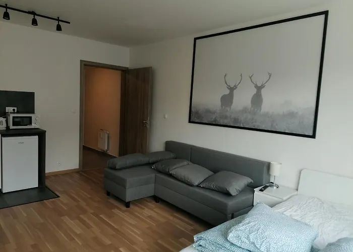 Brand New #51 With Free Secure Parking In The Center Apartman